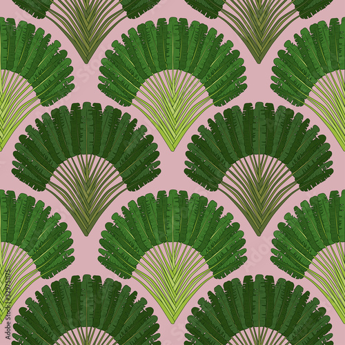 .Ravenala madagascariensis seamless pattern.Vintage texture with fan foliage on a pink background. Hand drawn vector illustration with an exotic giant palm tree..