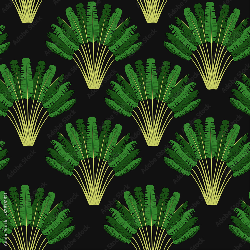 Vecteur Stock ..Ravenala madagascariensis seamless pattern.Vintage ...