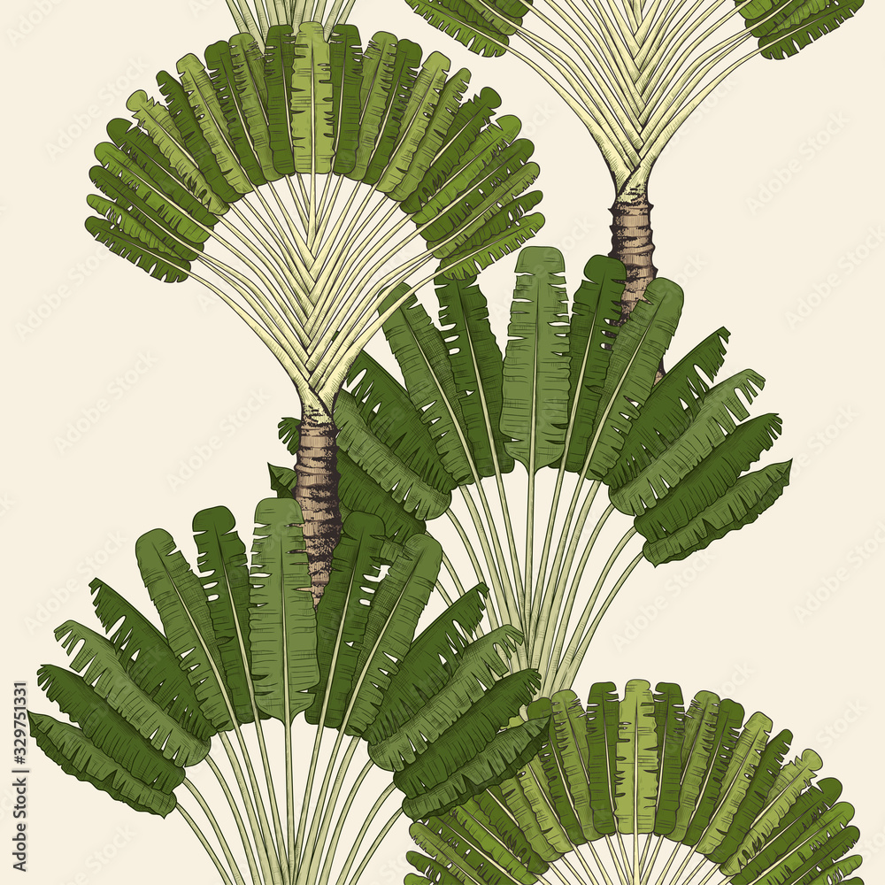 ..Ravenala madagascariensis seamless pattern. Vintage texture with the ...