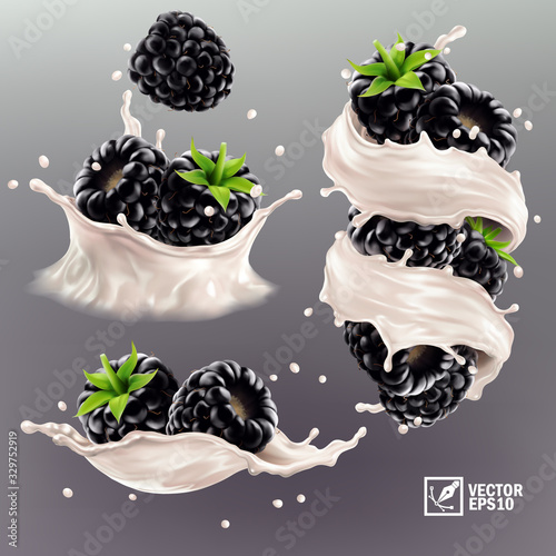 3D realistic vector set of different splashes of milk or yogurt with whole and halved blackberry pieces