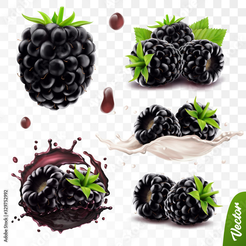 3d realistic transparent isolated vector set, whole and slice of blackberry, blackberry in a splash of juice with drops, blackberry in a splash of milk or yogurt photo