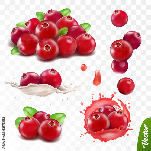 3d realistic transparent isolated vector set, cranberry with leaves, cranberry in a splash of juice with drops, cranberries in a splash of milk or yogurt photo
