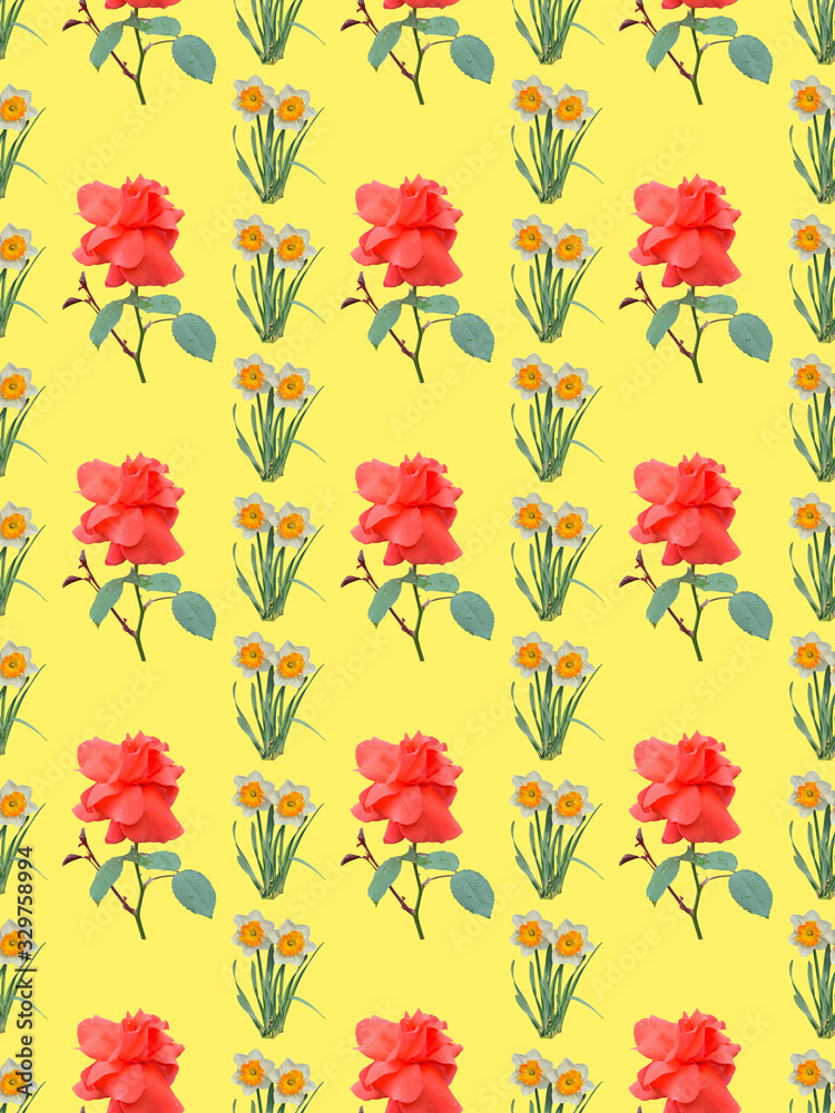 Fototapeta premium Red rose and narcissus. Seamless pattern.