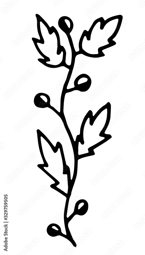 Naklejka premium floral elements, flowers, foliage and leaves. Hand sketched vector vintage elements, doodle style.