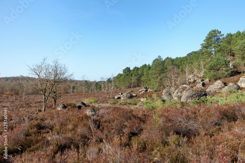 Heaters and sandstone rocks in the Vallée chaude plateau. Fontainebleau forest