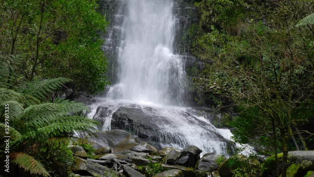 The beautiful, refreshing Erskine Falls in Australia - wide shot The beautiful, refreshing Erskine Falls in Australia - wide shot
