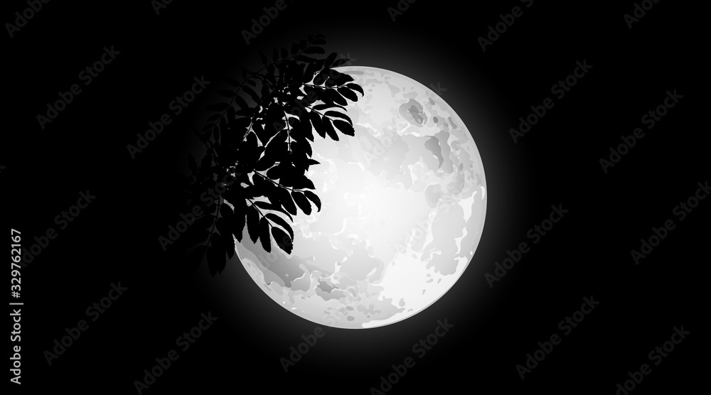 Moon. Branch tree on background of full moon. Vector illustration.