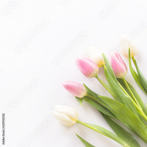 Fototapeta Naklejka Na Ścianę i Meble -  Bouquet of white and pink tulips on a white background. Women's Day, Mom's Day