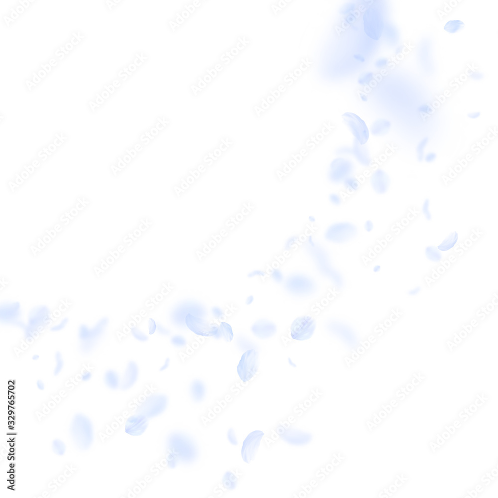 Light blue flower petals falling down. Posh romant Light blue flower petals falling down. Posh romant