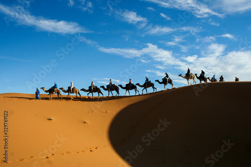 Caravana de camellos en el desierto del Sahara (Marruecos)