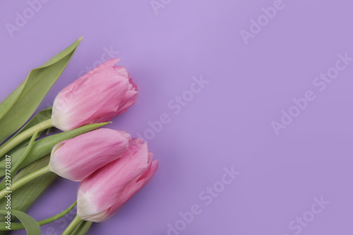 pink ssheet of paper for notes and letters with a pink tulips © Нарине Нахшкарян