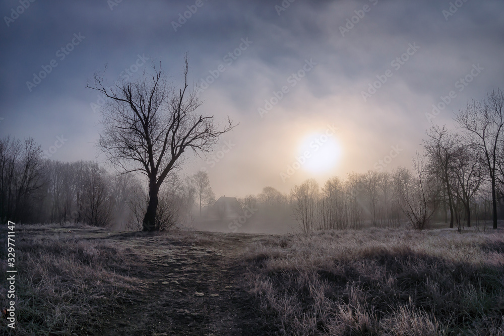 Early morning, fog glade, grass and trees in hoarfrost and a lake house.