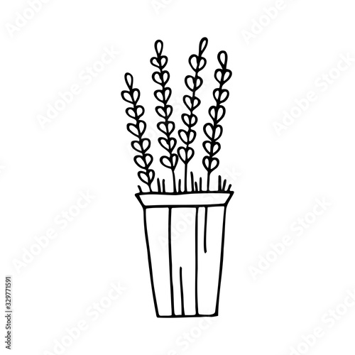 Hand drawn flower in a pot isolated on a white background. Doodle, simple outline illustration. It can be used for decoration of textile, paper.