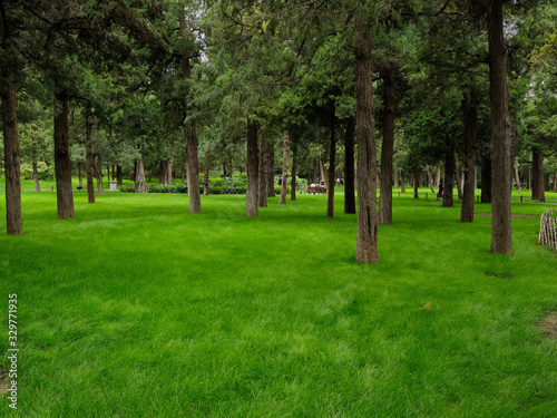 Colorful green lawn among the trees in the park Jingshan Park, Beijing 