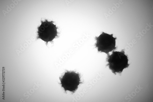 Coronavirus image   wuhan virus