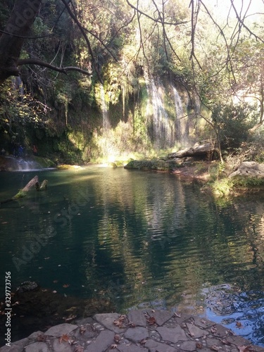 lake in forest