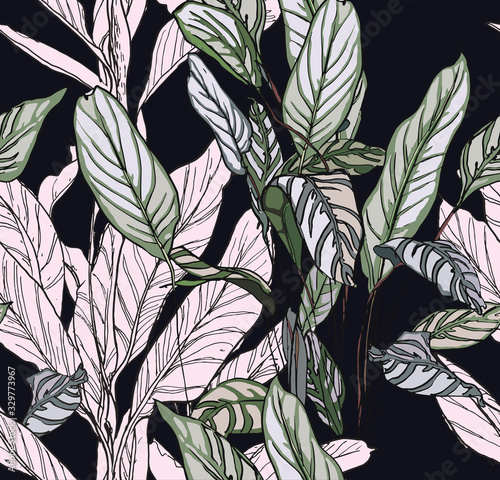 Exotic Tropical Leaves on Black Background, Outline Doodle Plants Night Jungle Forest, 