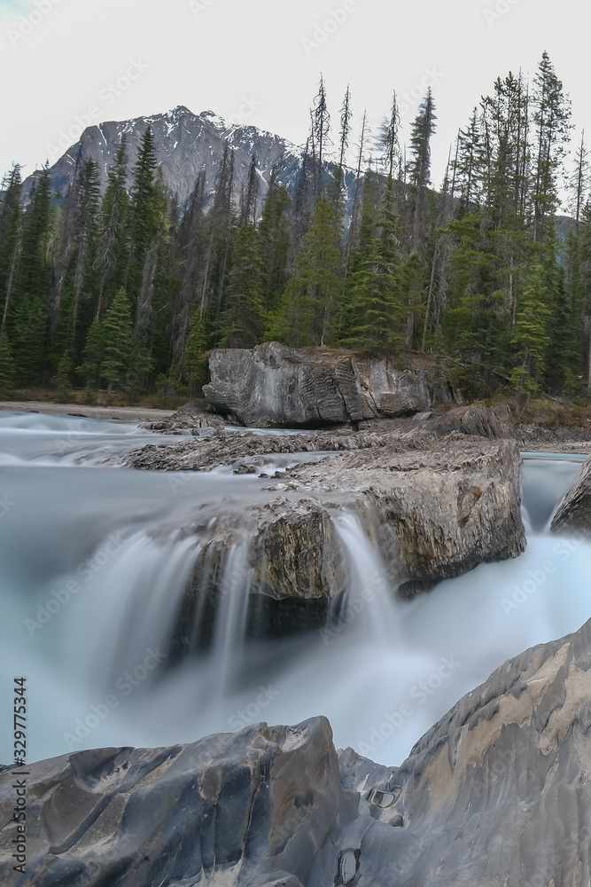 Small waterfall in a forest, Mount Revelstoke National Park bij Revelstoke
