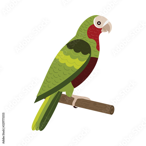 Red Crowned Amazon Exotic Parrot in Flat