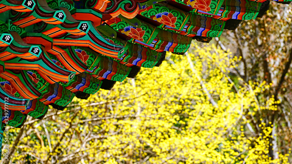 the eaves of Korean temples, and cornelian cherry flowers
