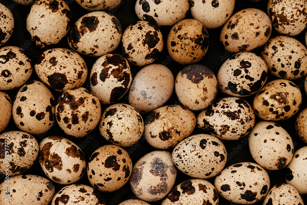 many quail eggs, easter pattern. selective focus, film and grain photo many quail eggs, easter pattern. selective focus, film and grain photo