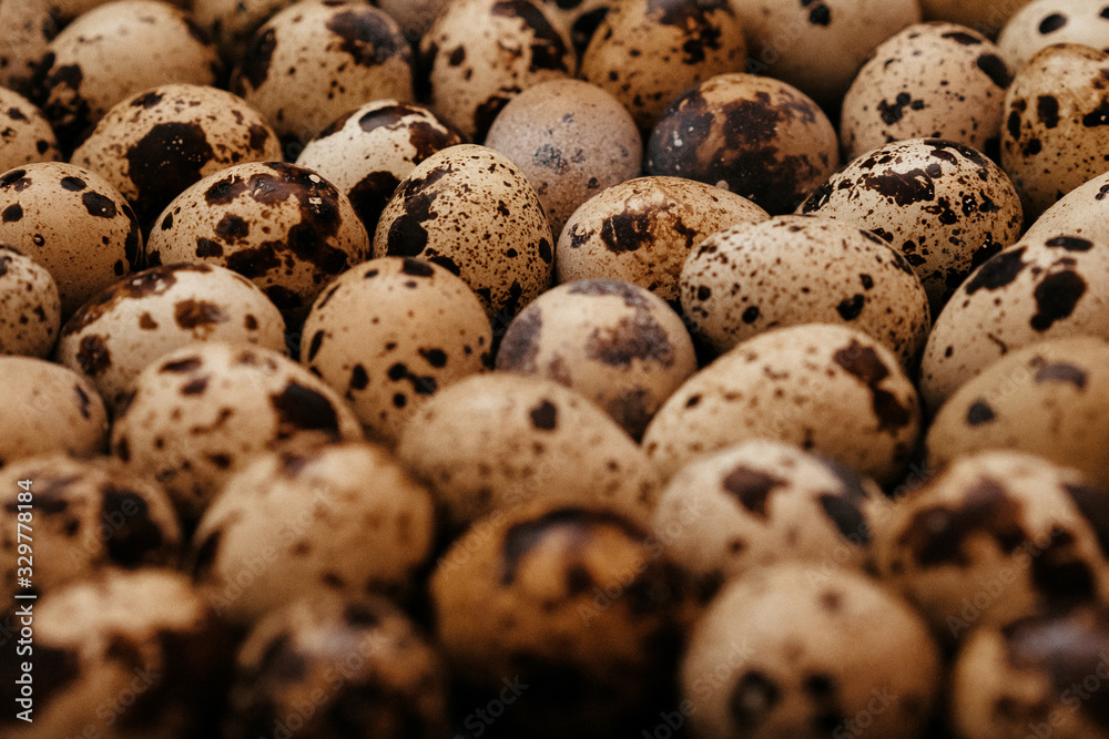 Fototapeta premium many quail eggs, easter pattern. selective focus, film and grain photo