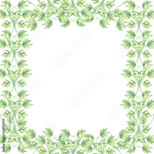leaves frame square liana branch green
