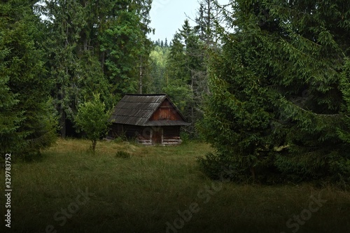 cottage in the forest © Dominik
