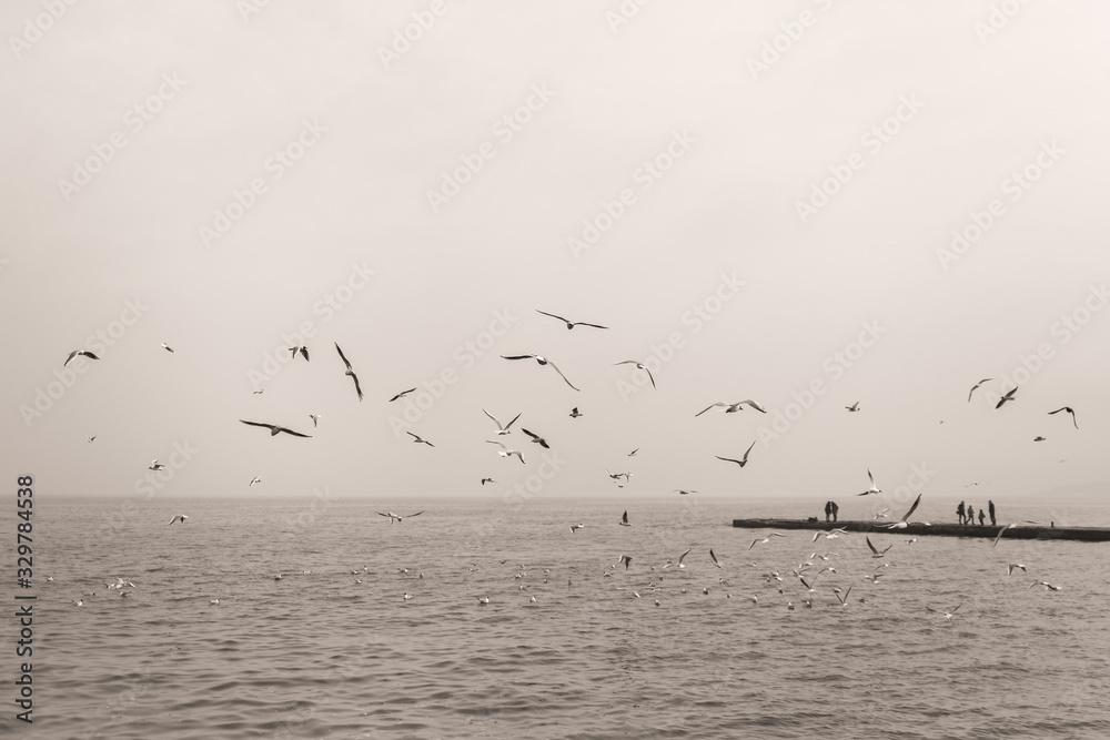 Many hungry seagulls flying in sky over blue sea water. Photo filtered in vintage brown sepia color.