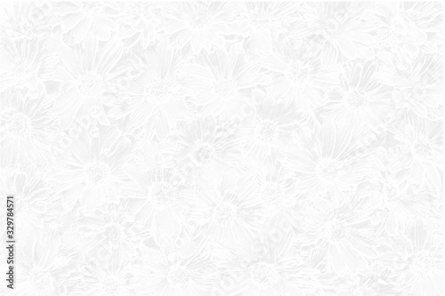 Abstract daisy flower background with light grey color  wax bump effect. Can be used as banner  presentation  flyer  poster  web design  website  invitations. 