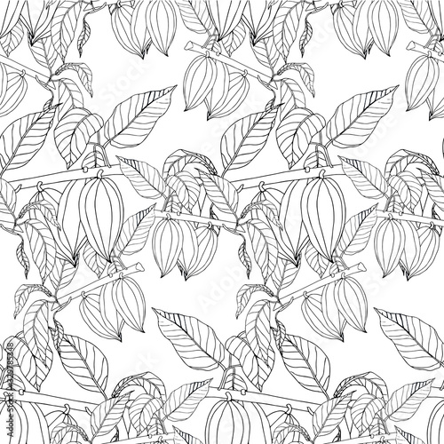 Cacao tree monochrome seamless pattern on white art design stock vector illustration for web, for print, product design, cover © danylyukk