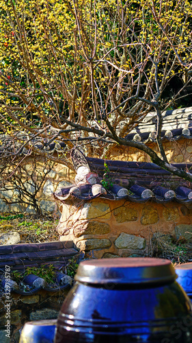 the Korean traditional jars lying in an orderly fashion. photo