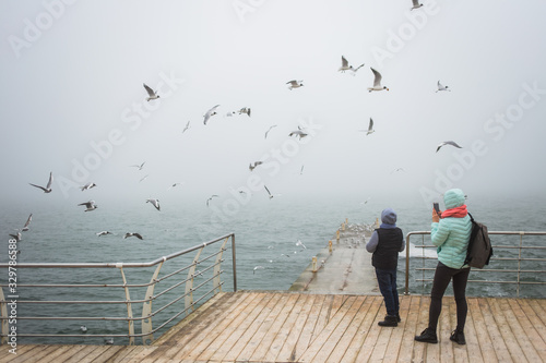 People feeding hungry birds at seashore in winter.
