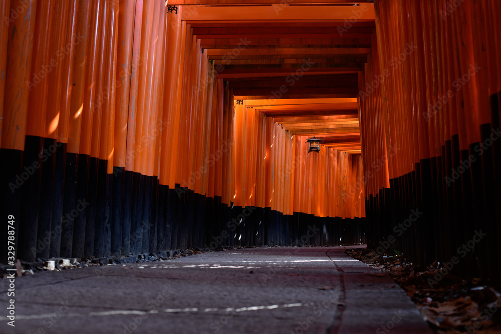 Fototapeta premium street at night