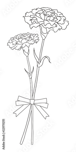 手描きのカーネーションのイラスト 線画 Stock Vector Adobe Stock 手描きのカーネーションのイラスト 線画 Stock Vector Adobe Stock