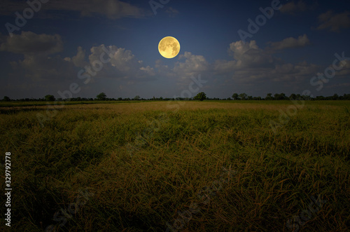 Beautiful full moon over rice field in the evening