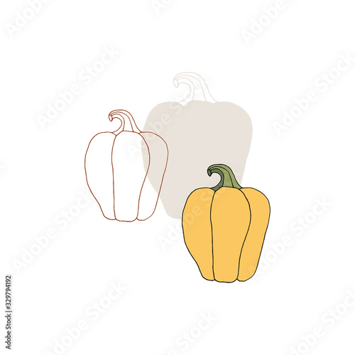 Vector bell pepper icon. Hand drawn object. Vegetables. Healthy nutrition, vegetarians, vegans.