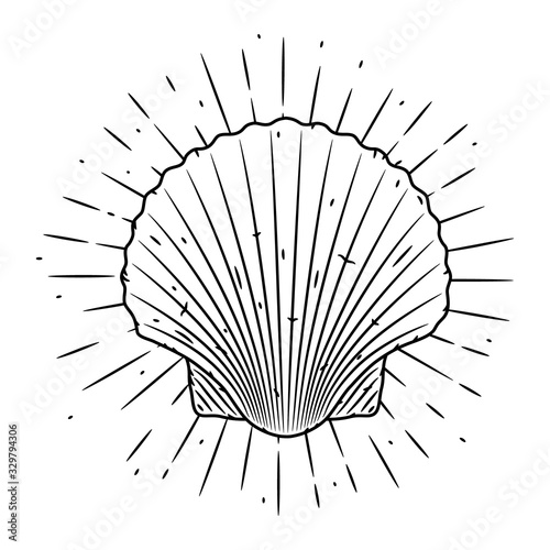 Scallop. Hand drawn vector illustration with Scallop and sunburst. Used for poster, banner, web, t-shirt print, bag print, badges, flyer, logo design and more.