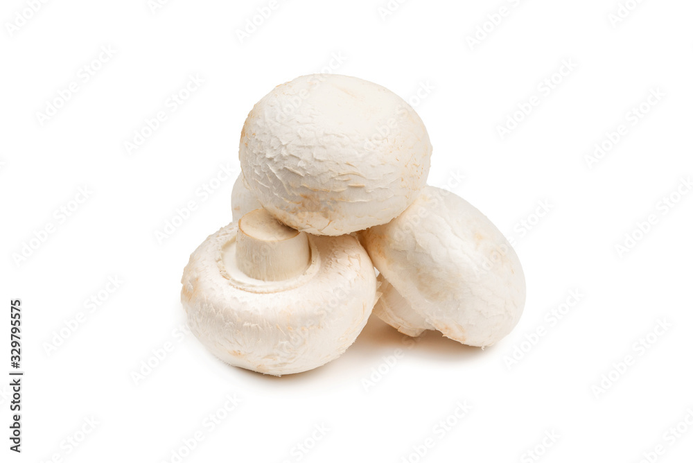 Champignon mushroom isolated on white background.