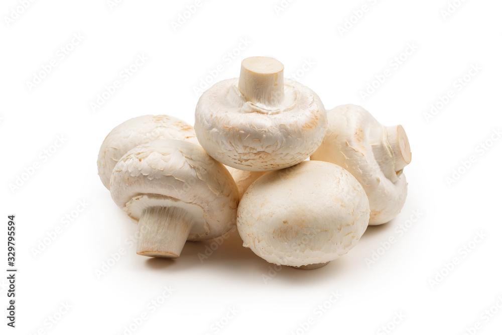 Champignon mushroom isolated on white background. Champignon mushroom isolated on white background.