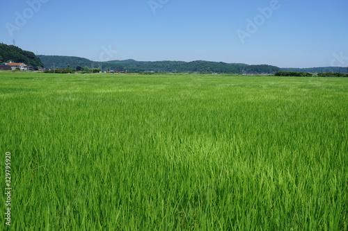 田園風景