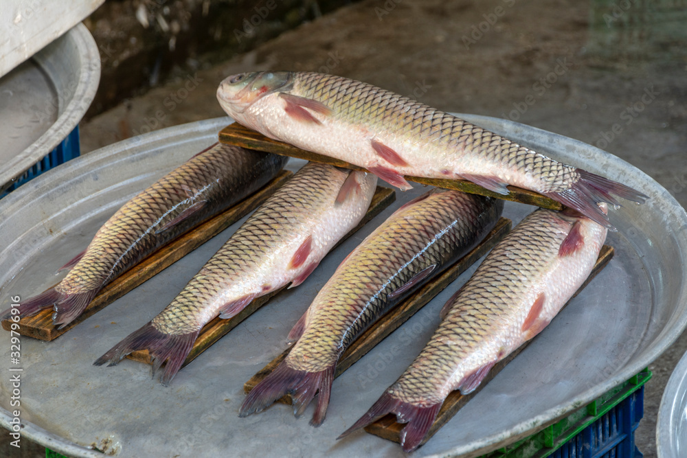 fishes in bazaar fishes in bazaar