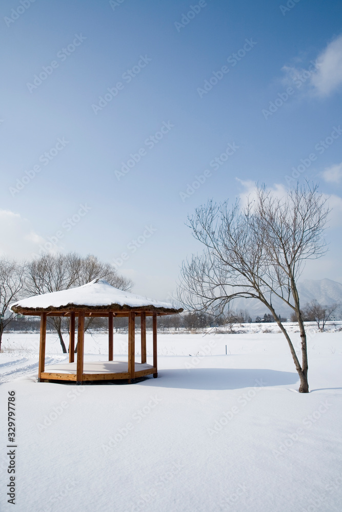 The day the snow fell. Semiwon in Yangpyeong-gun, South Korea.