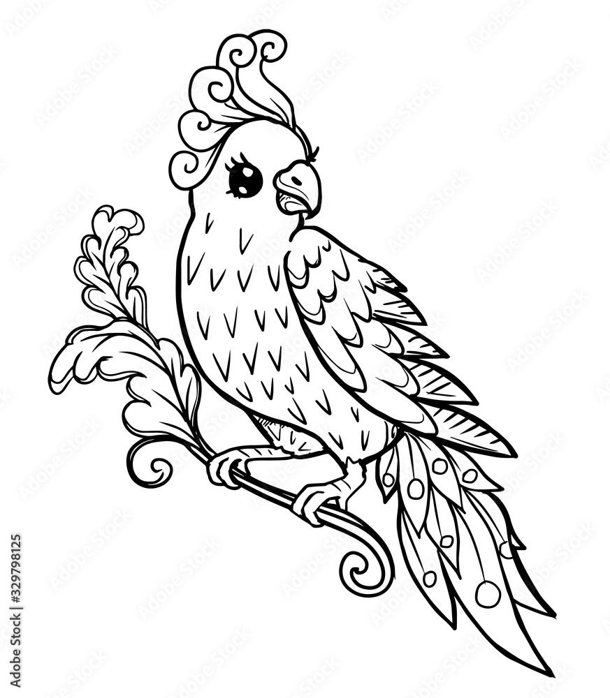 contour drawing of a stylized cockatoo bird