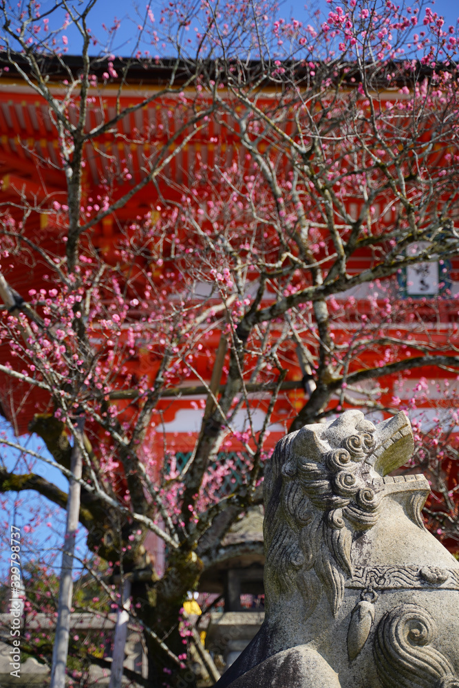 Obraz premium KYOTO