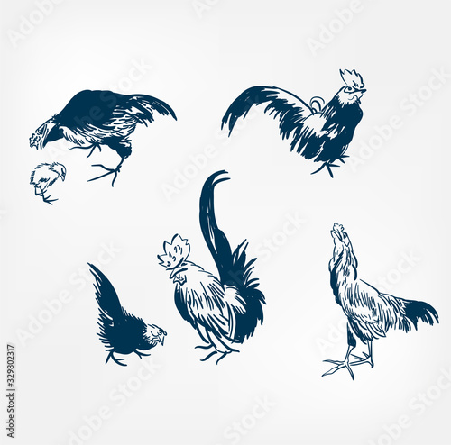 cock chicken bird japanese paint style design sketch design element vector