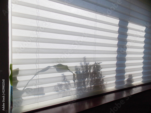 Pleated blinds XL white color, with 50mm fold closeup in the window opening. On the windowsill behind pleated shades, shadows of indoor plants shine through. Modern home curtains closed. photo