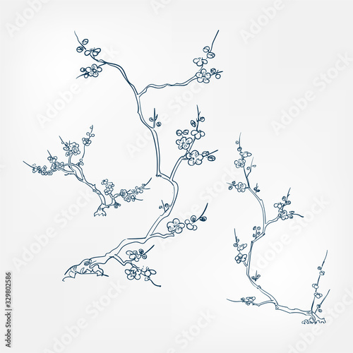 blooming peach japanese paint style design sketch design element vector