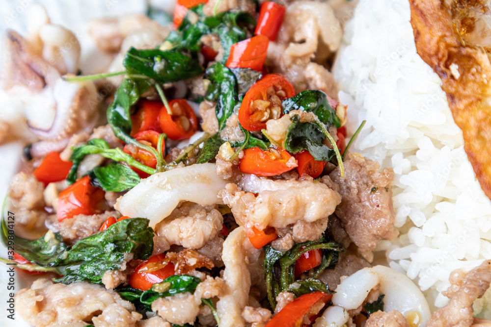 Stir fried squid basil and minced pork with steamed rice and fried egg on a white plate. Stir fried squid basil and minced pork with steamed rice and fried egg on a white plate.