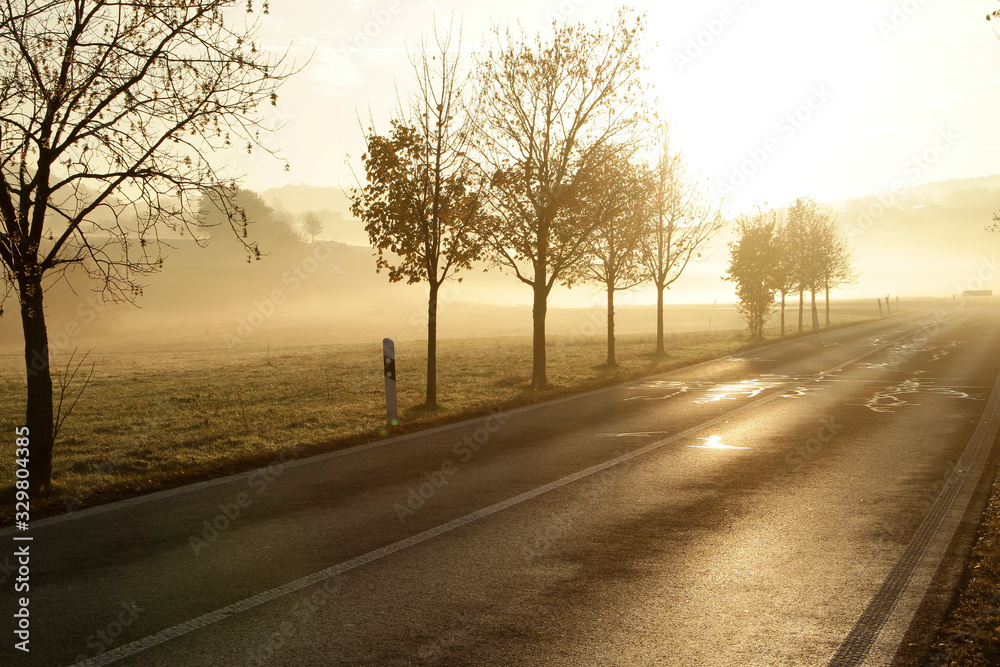 Fototapeta premium Fog, Haze, Morning fog, Autumn, Waltershausen, Thuringia, Germany, Europe